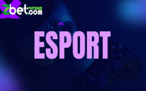 Top 5 Game eSport siêu đình đám mà các Bet Thủ Esport phải biết đến